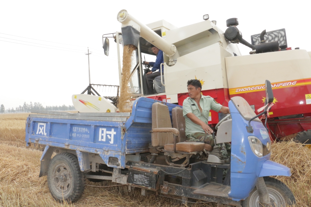 英国·威廉希尔(WilliamHill)中文官方网站